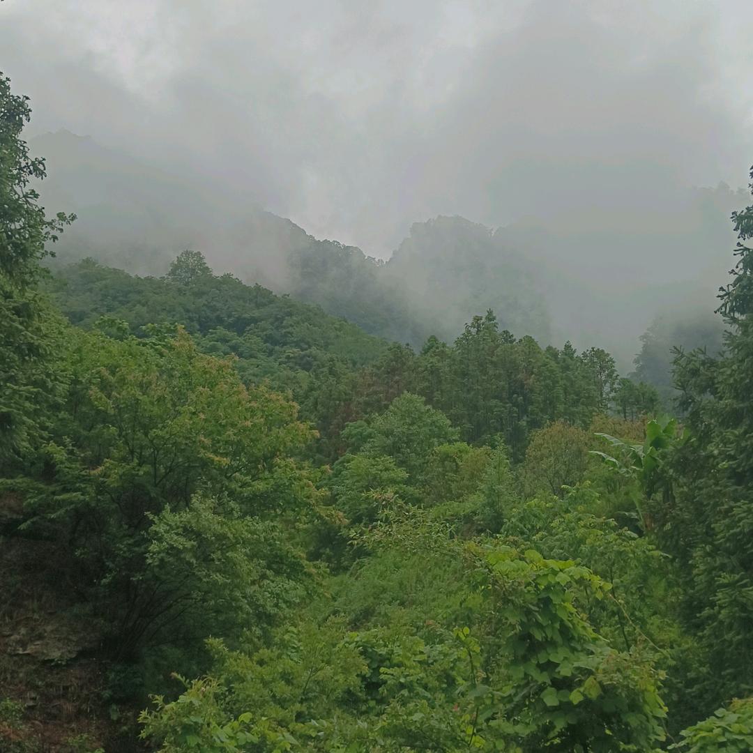 武当神农谷-鸣熹堂