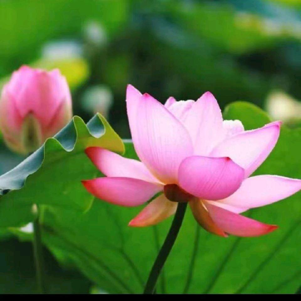 李士玉lishiyu60437