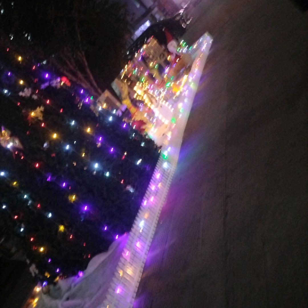 (●—●)眼里只有你～(￣▽￣～