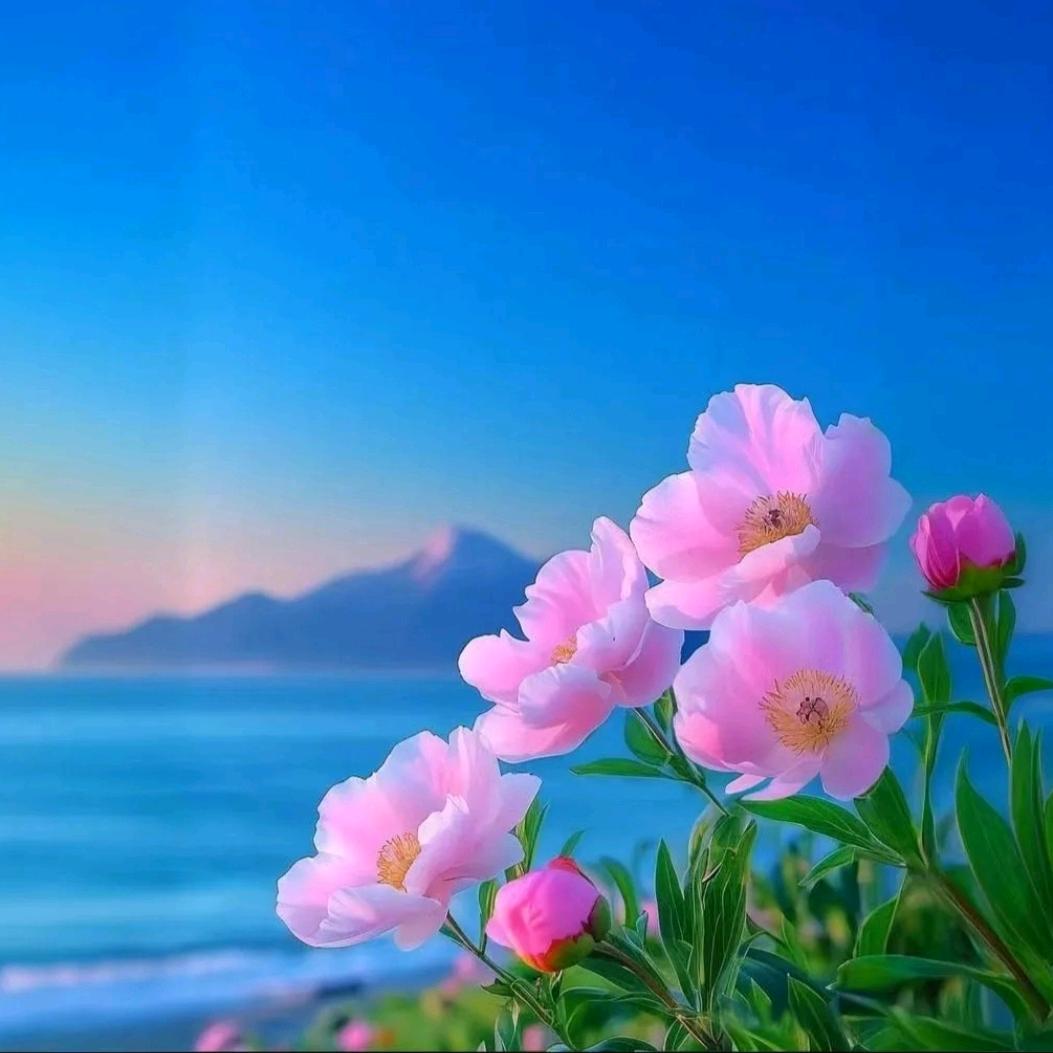 瑞宇