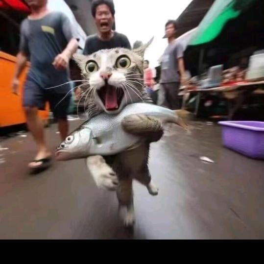 百亿和星星