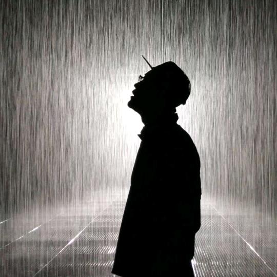 大吴（动睐动趣）