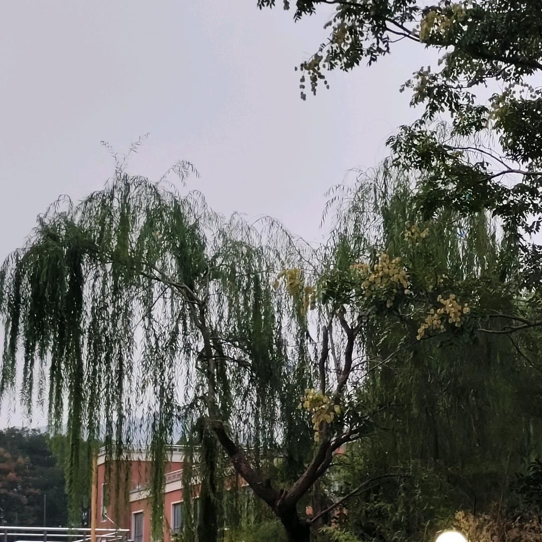 平安喜乐，万事胜意