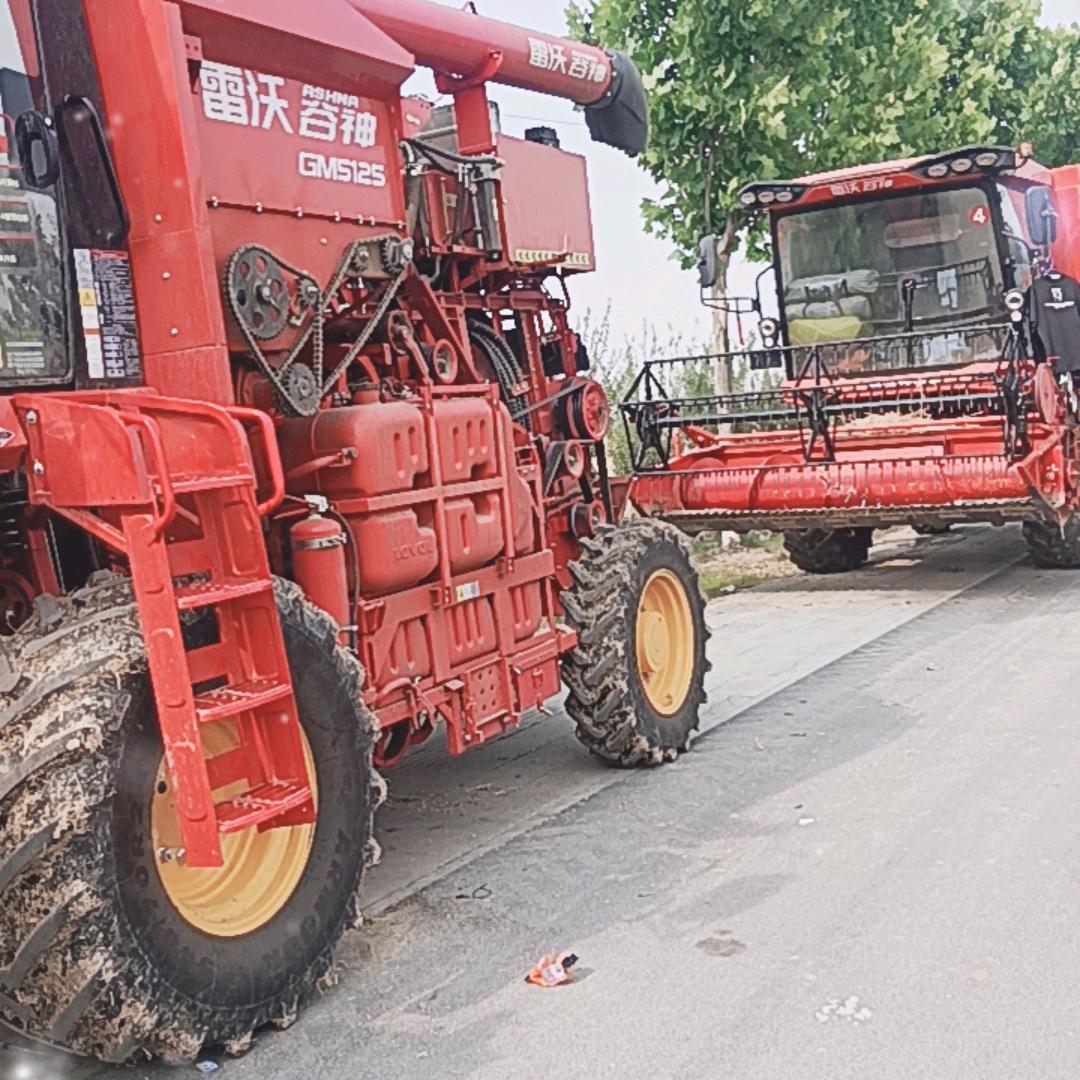 豫G，四驱，专业收割杂粮团队