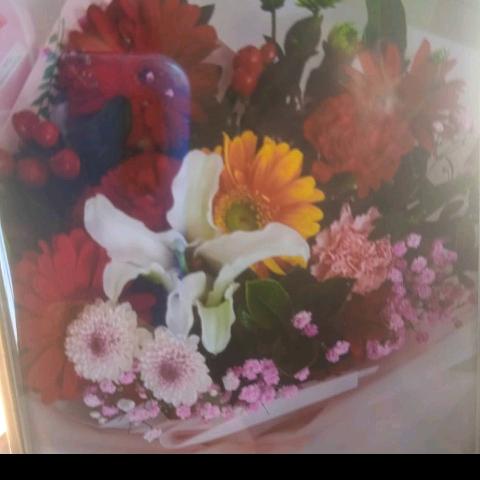 宅科二村大棚小涛