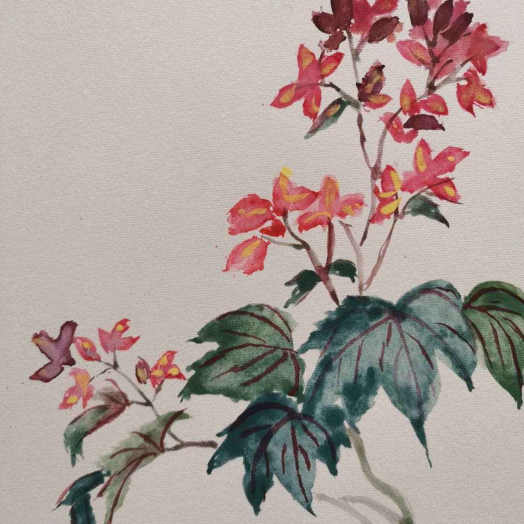 菲菲