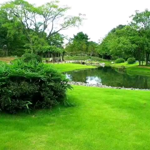 冬日里的小温暖