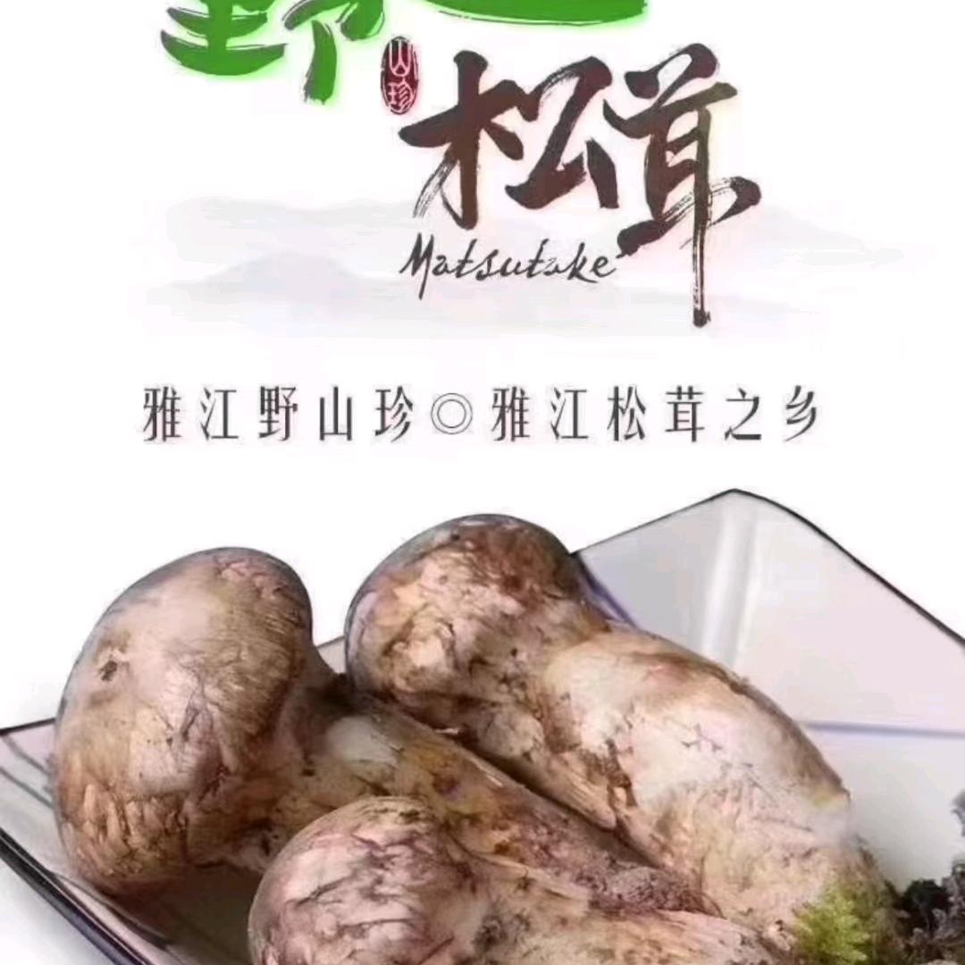 心灵之声