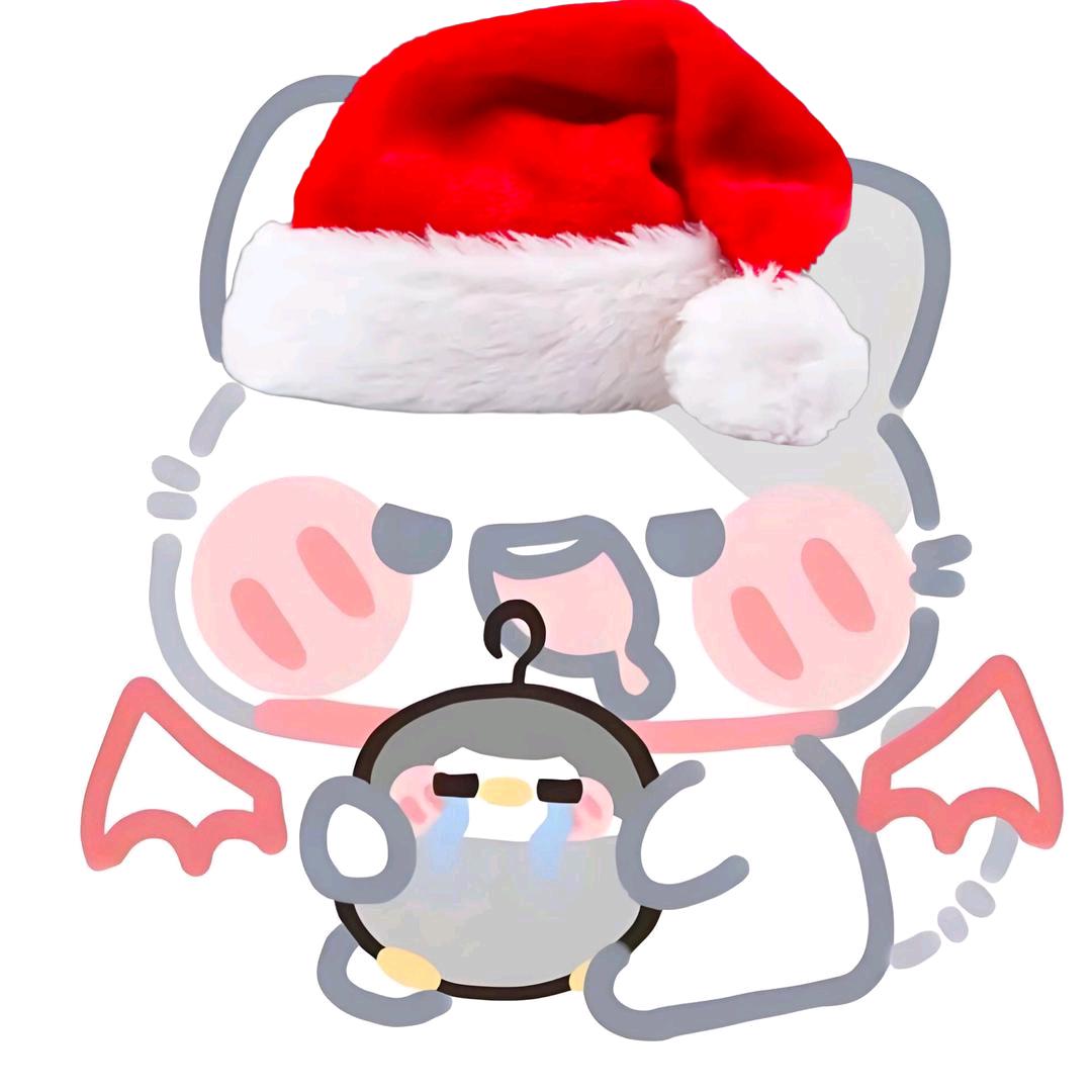 怀中珍宝（12月29日生日）