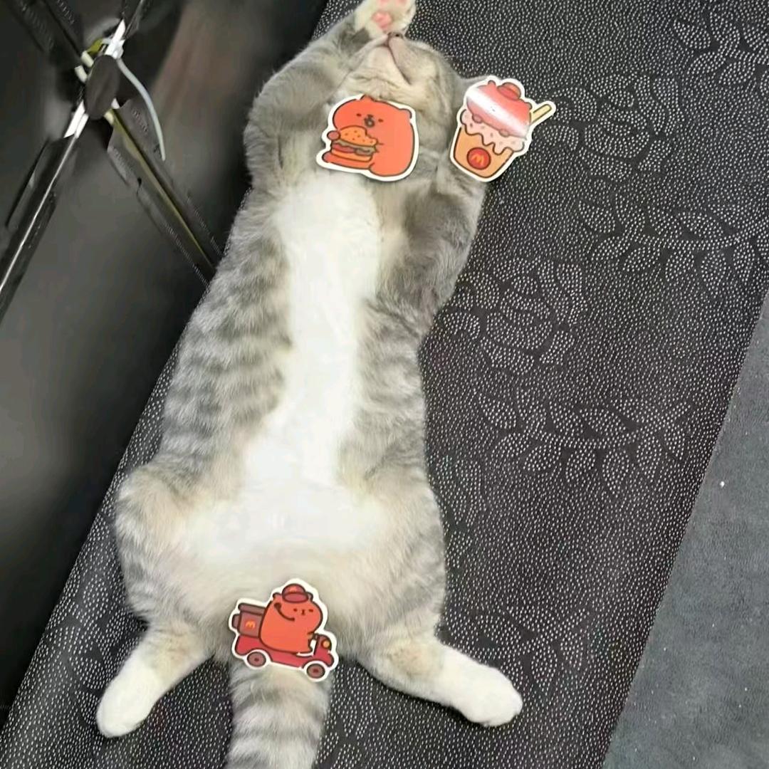 王哪跑儿