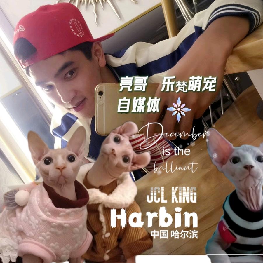 亮哥 乐梵萌宠