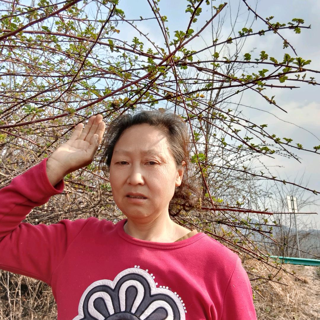 放牛的【08:20】