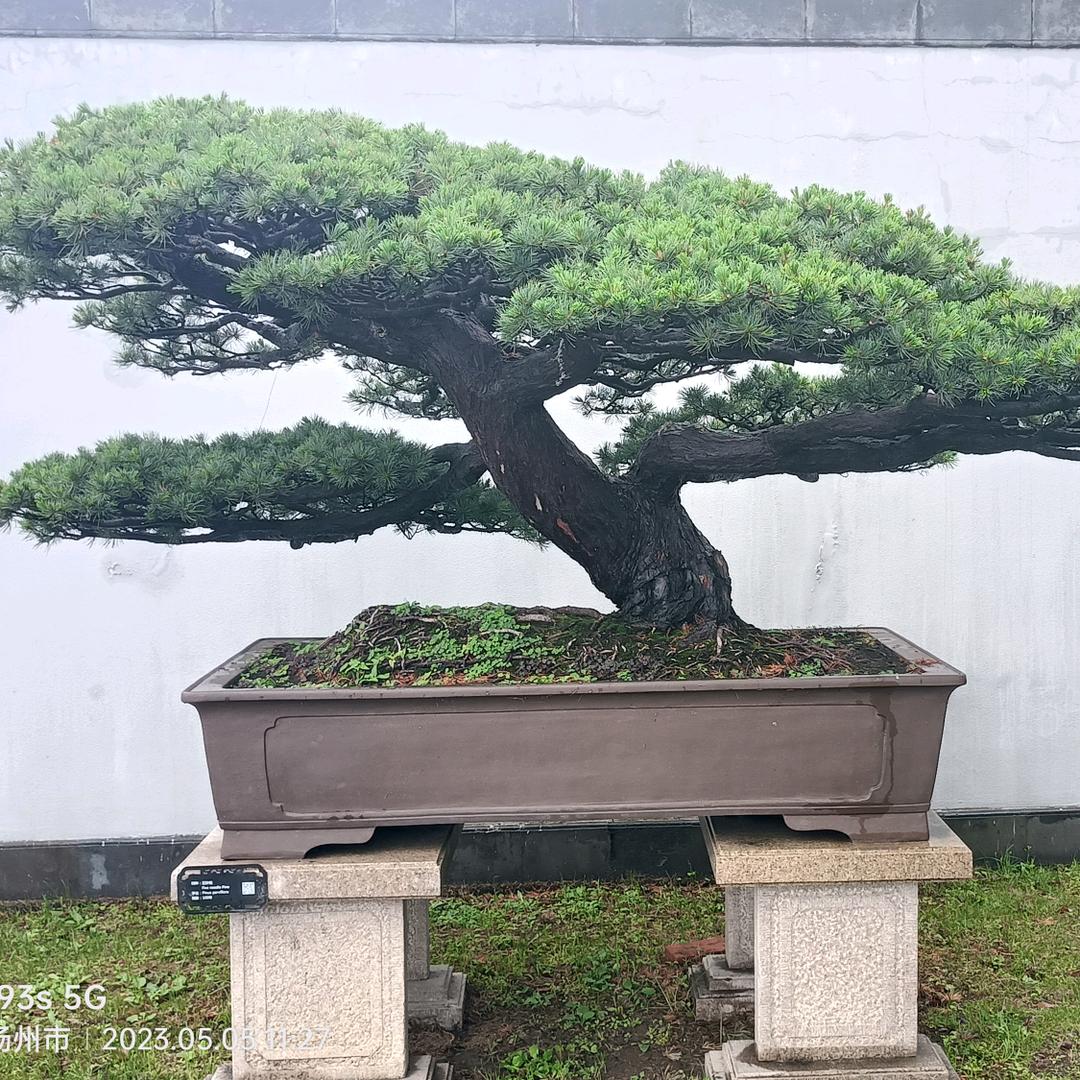 三联家电美的空气能