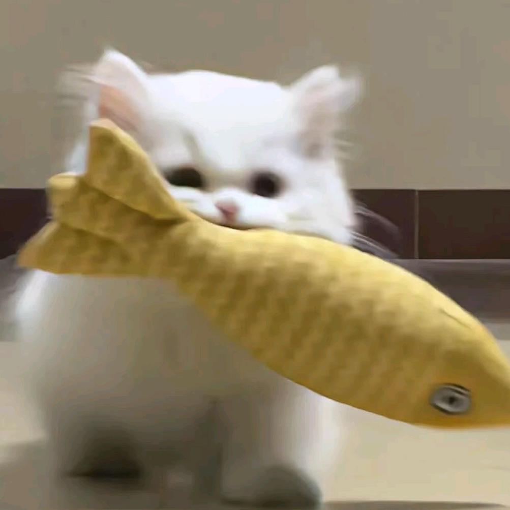 🐟🐟