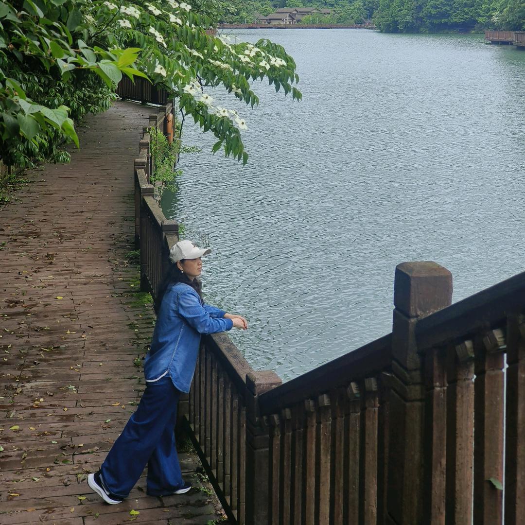 听风拾露