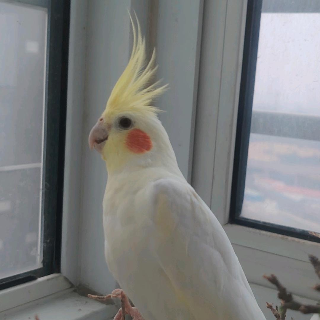 烟火里的光