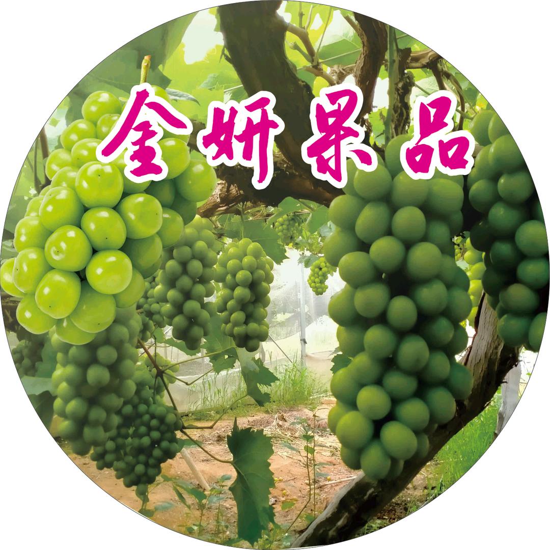 🕊🍇蚂蚁团队🍇小赵