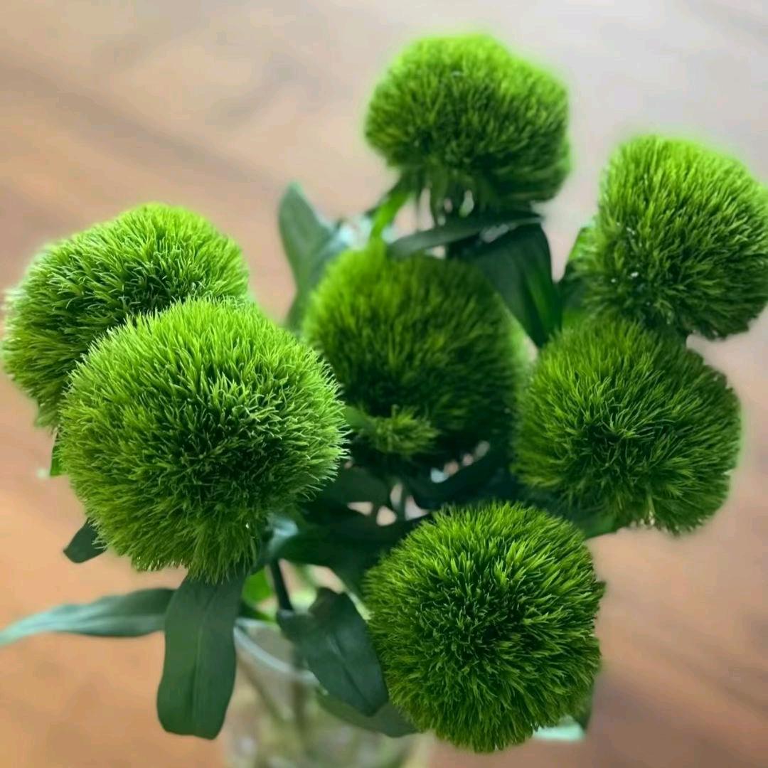 递酒舔尝