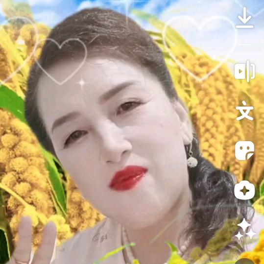 沙市陈姐