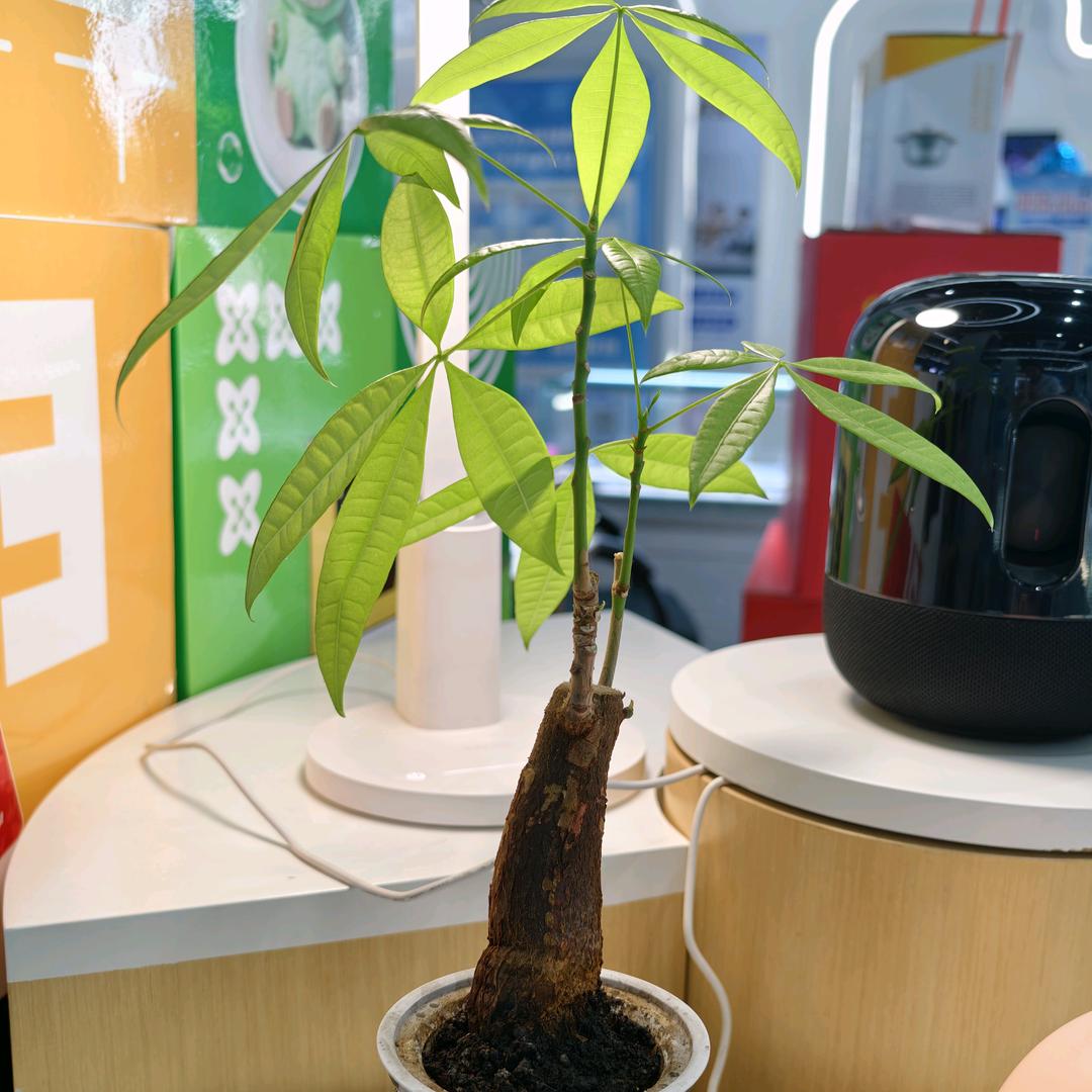 人不要脸鬼都害怕