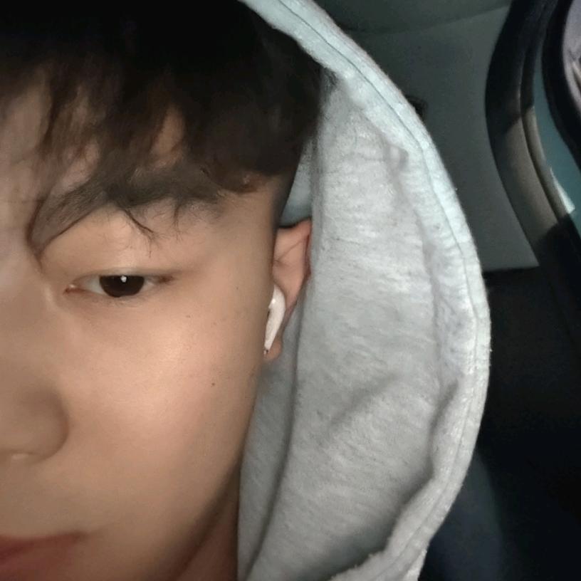 泰安车辆质压放💰