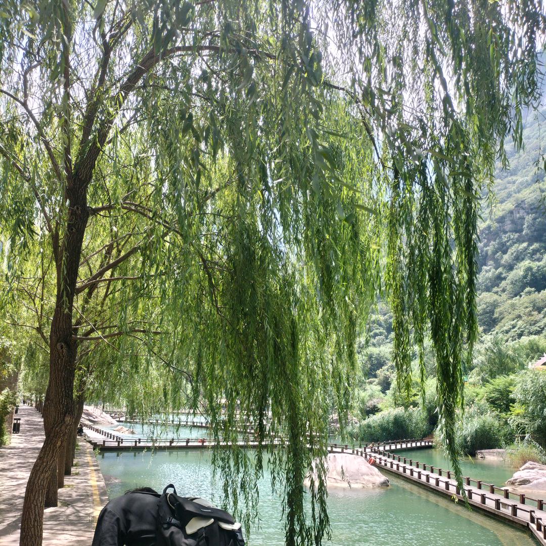 房产王艳a