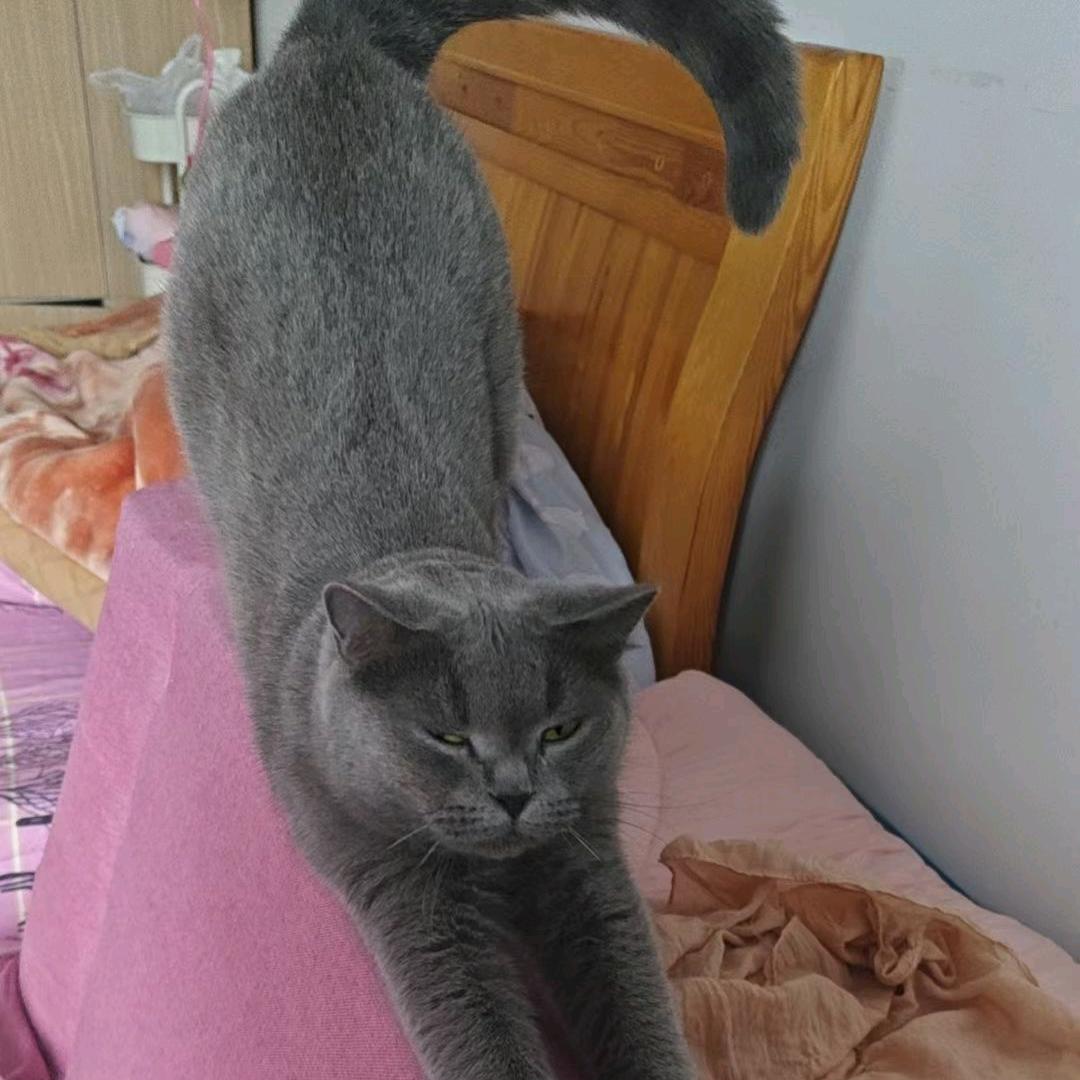 ල᭄往事💞清零♥ꦿ᭄