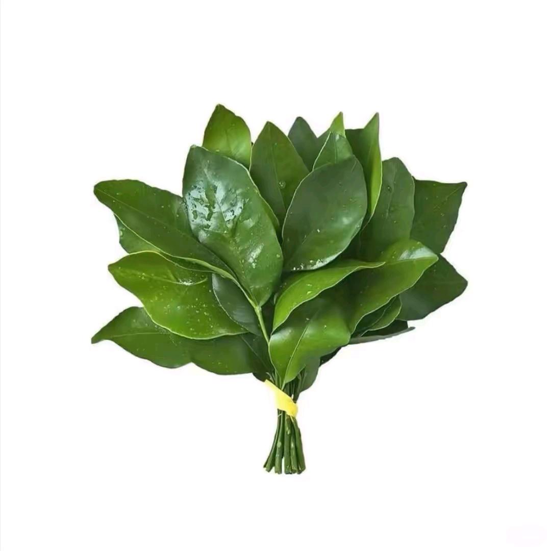 康，索，措
