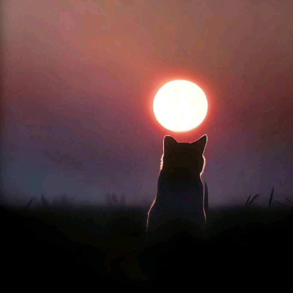 ㅤㅤㅤㅤㅤㅤㅤㅤㅤㅤㅤㅤㅤㅤㅤㅤㅤㅤ