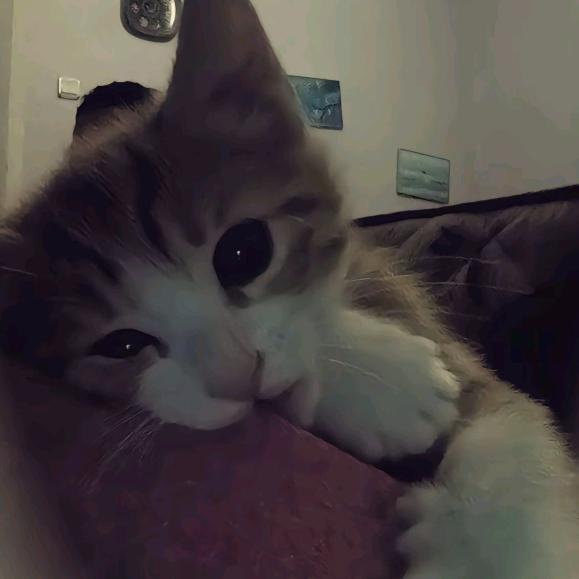 未命名的第七页