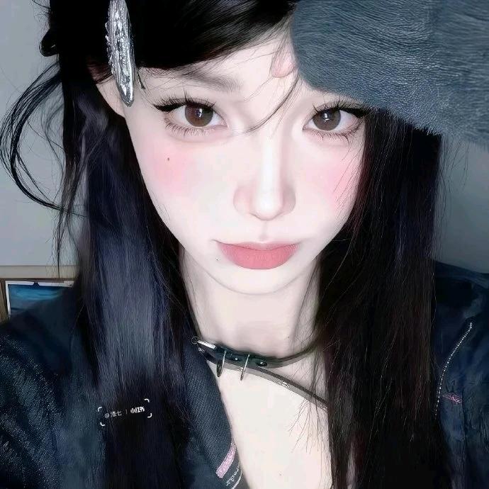 冰冷的海豹