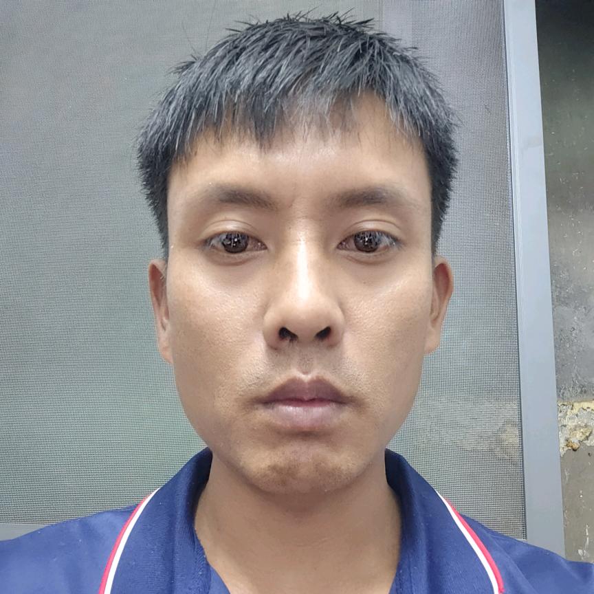 梅子箐晨飞茶叶