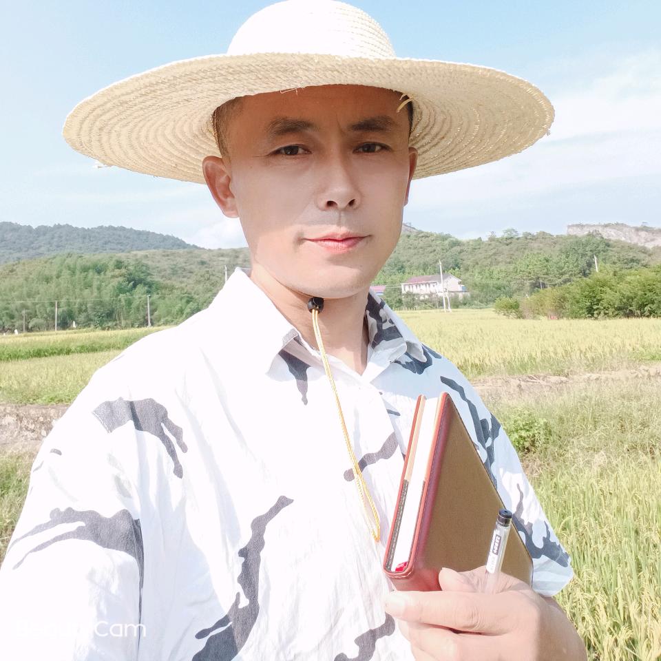 精制竹炭