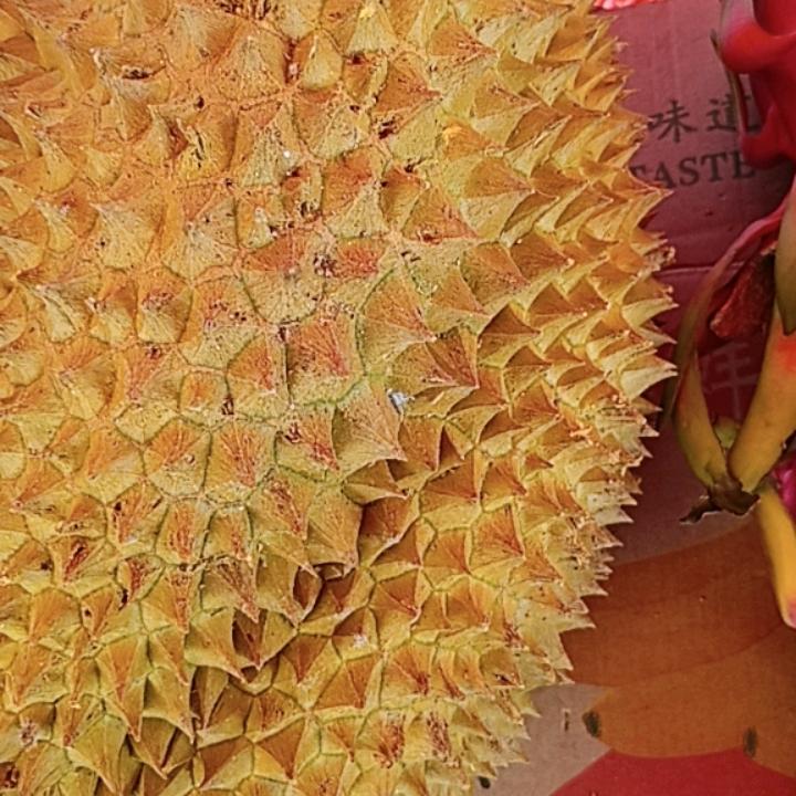 地摊小邵