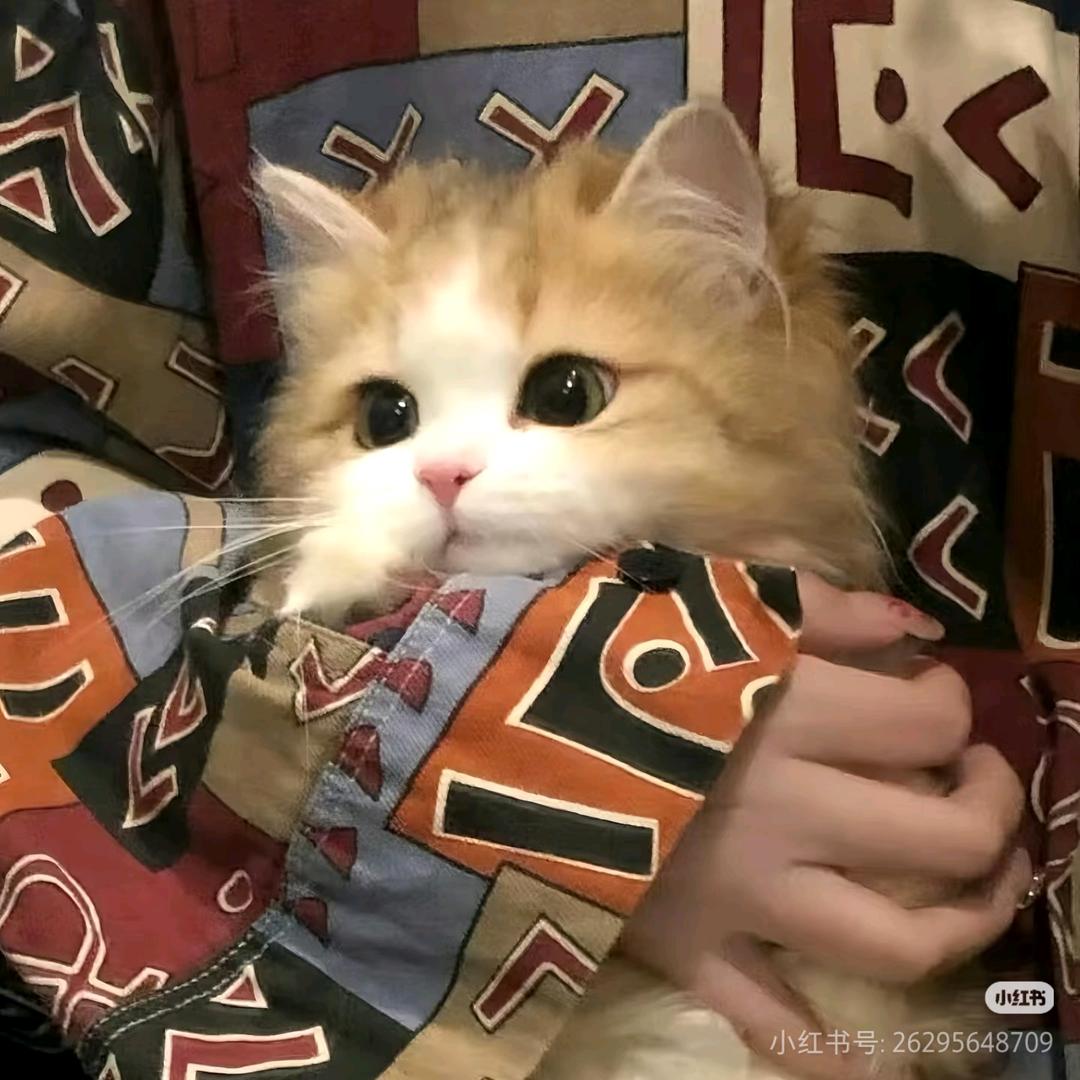 临夏（互关必回）