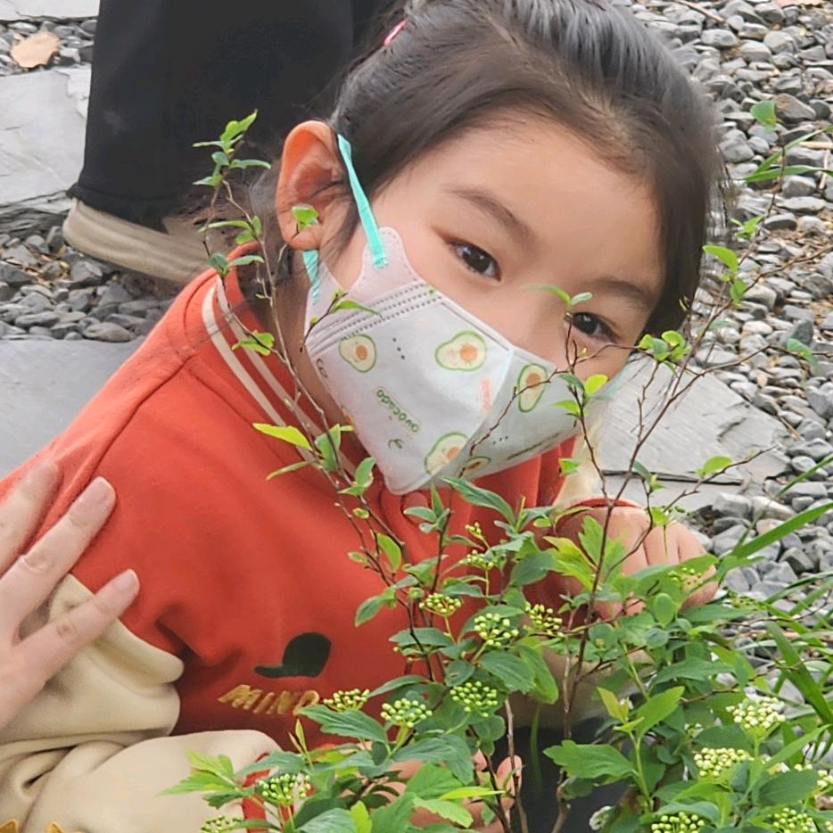 大象elephant长得高