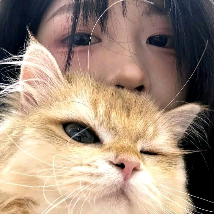 螺蛳粉要加双倍香菜