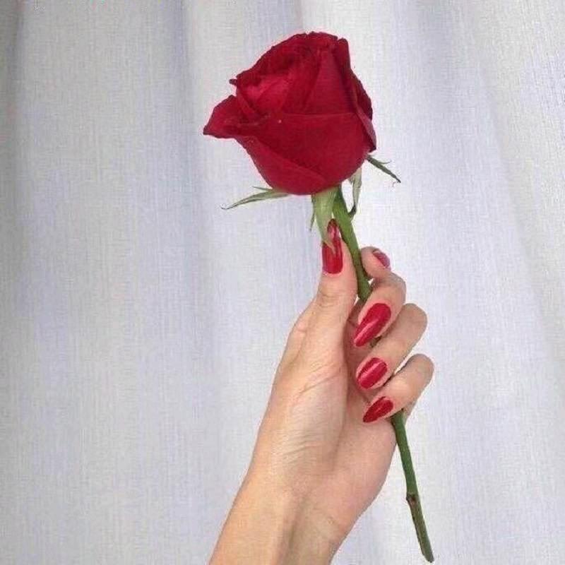 开星愿的涵涵🚗