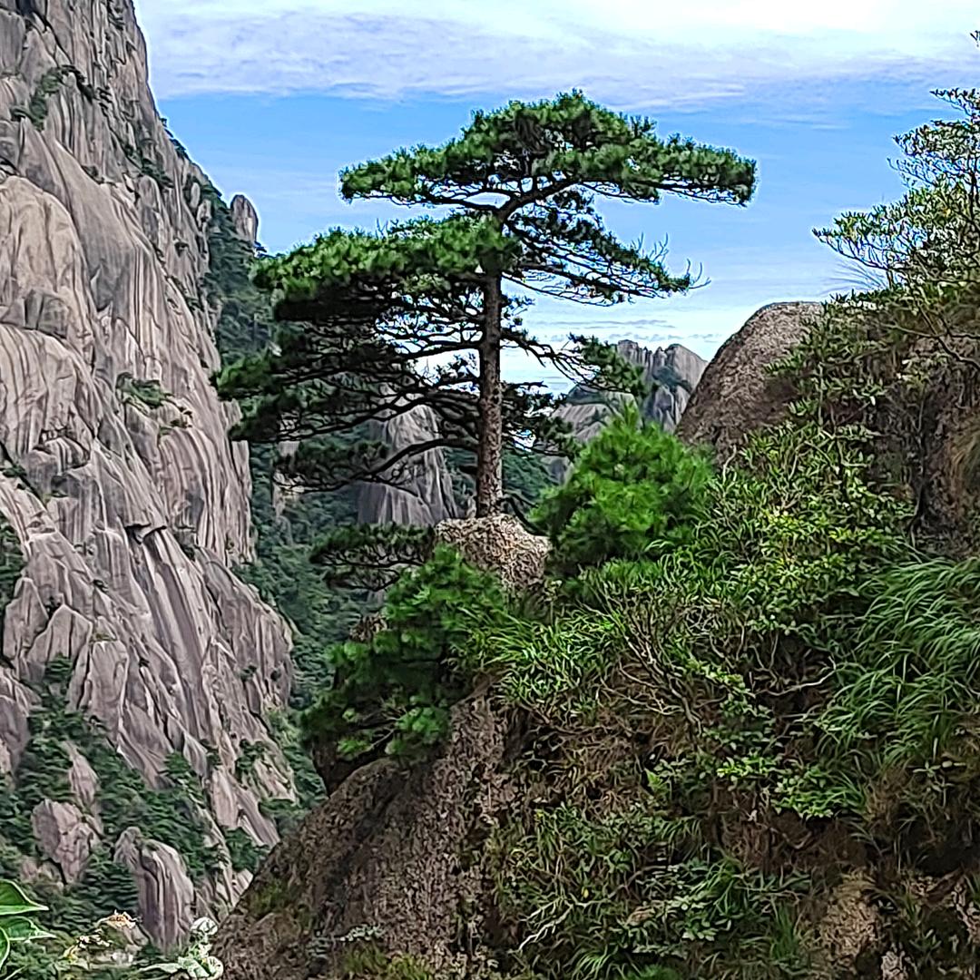 浮生若梦