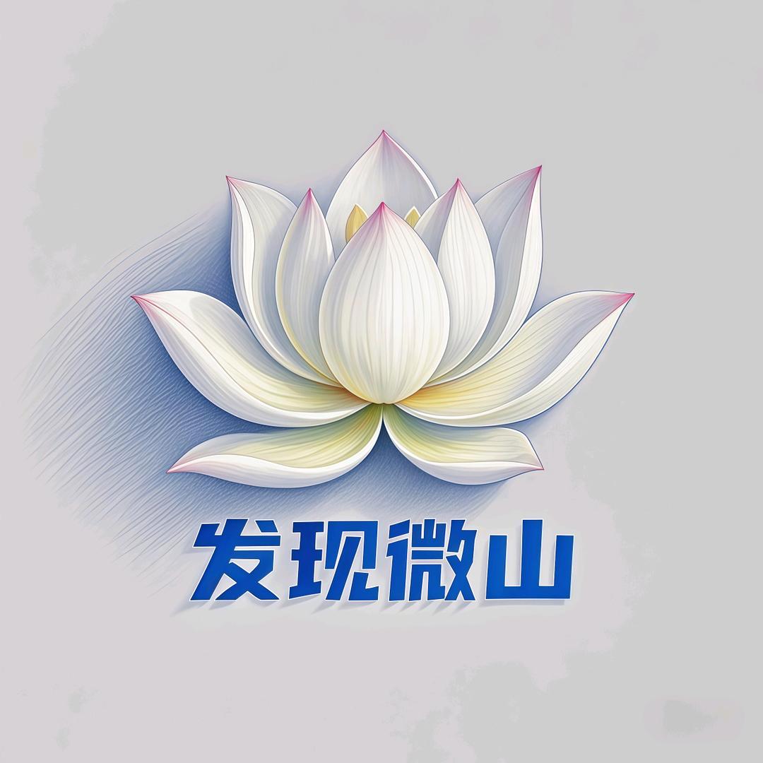 发现微山