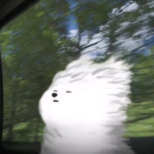 隔壁是我