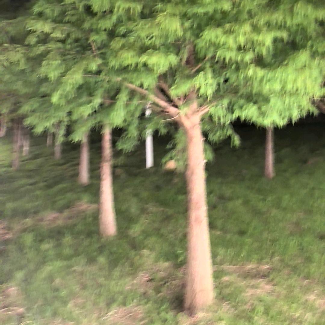 秋去冬来