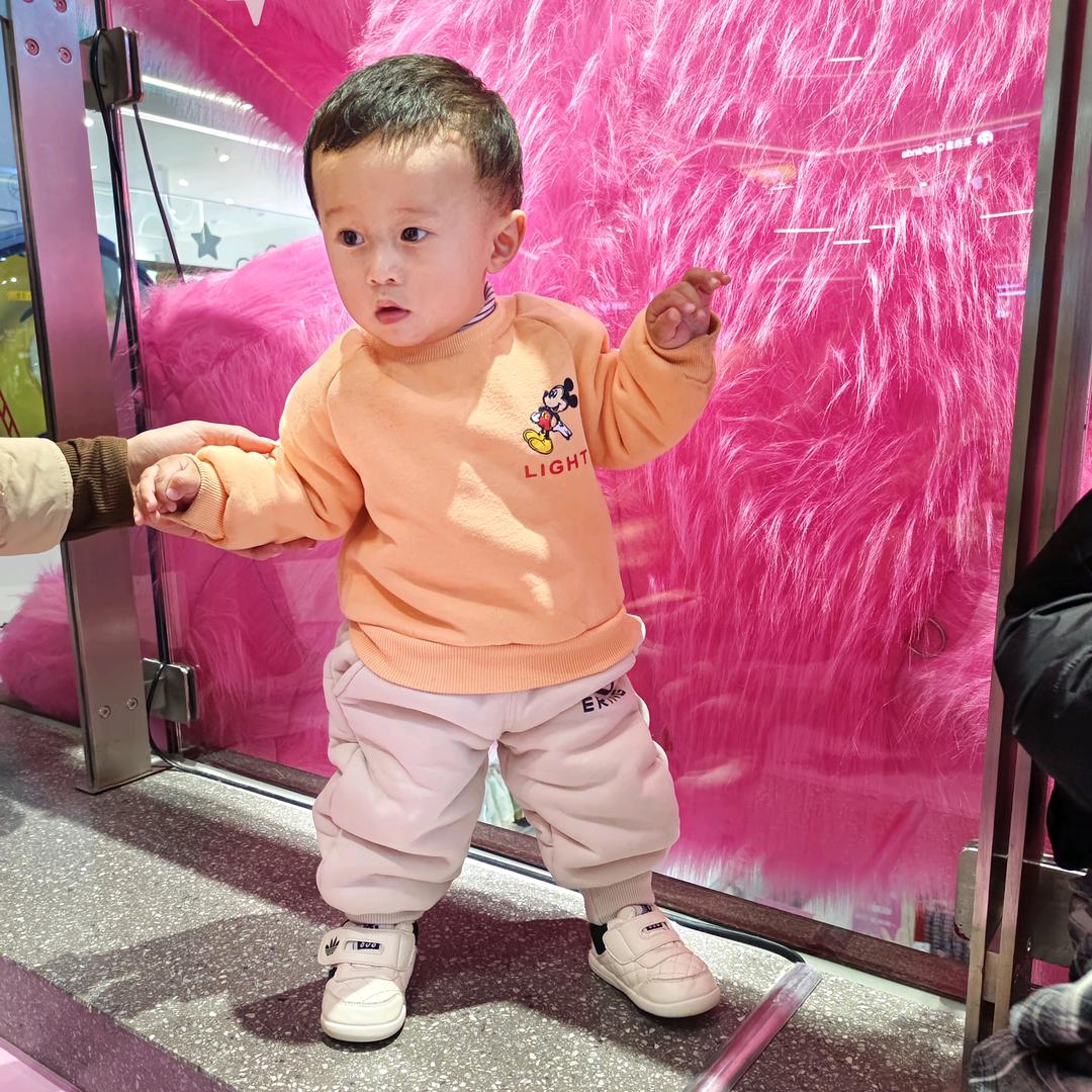 刘(｢･ω･)｢嘿……