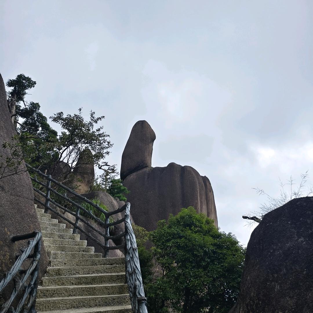 @沝淼