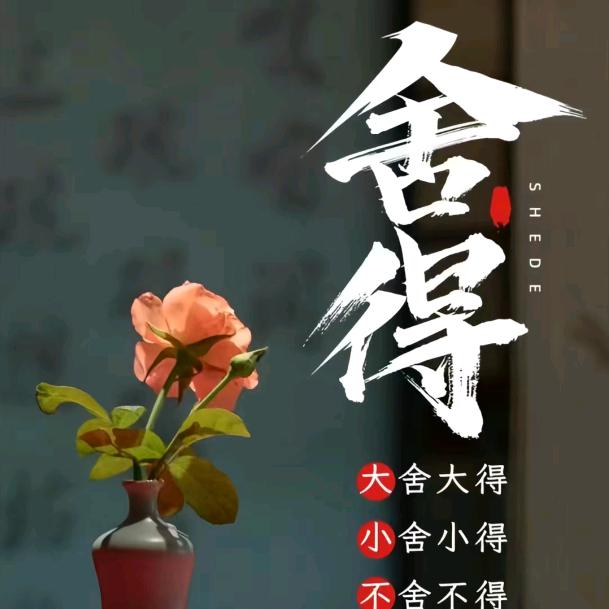 不离不弃