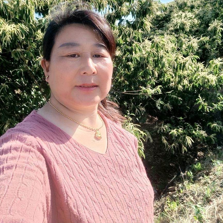 秀芹煎饼早上8点直播