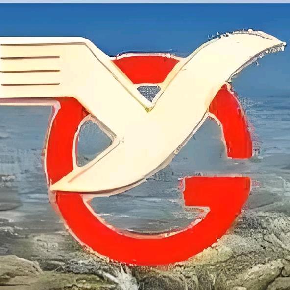 平舆一高——庄老师