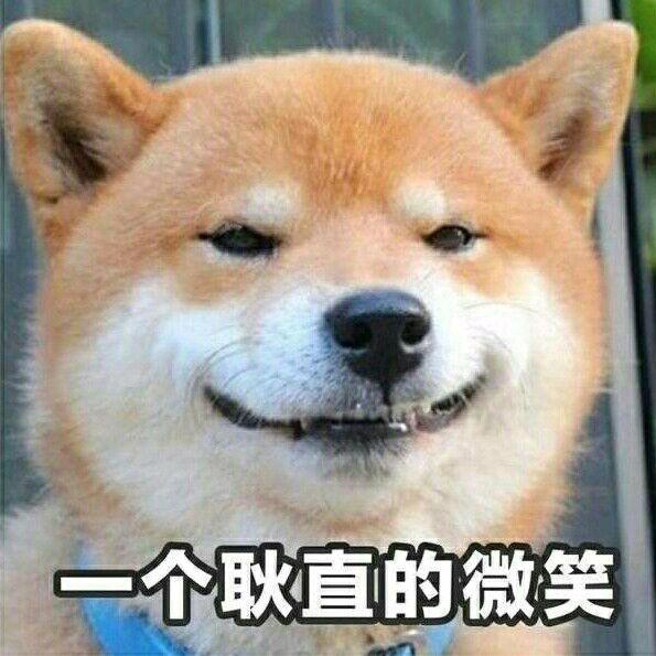 捡来的旺财和来福(田园犬)