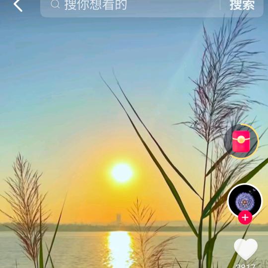 心无波澜