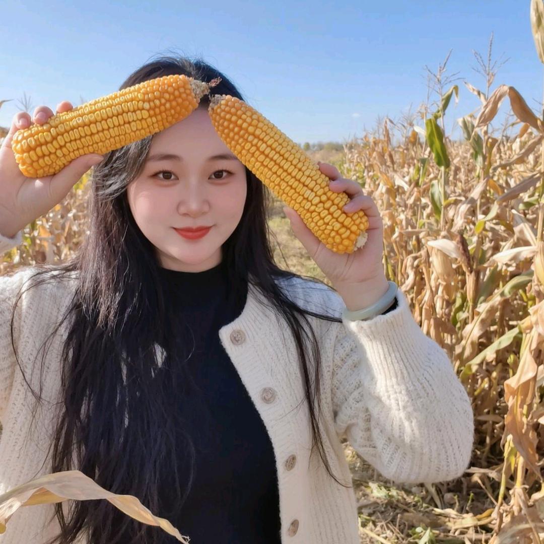 ༺慵懒的风༻